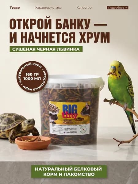 Черная львинка для черепах крыс хомяков и ежей