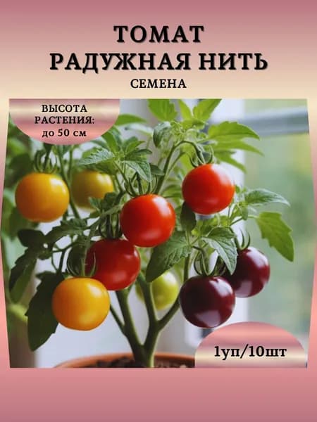 Томат "Радужная Нить" семена, 1 пачка