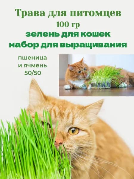 Лакомство для питомцев 100 гр травка для самостоятельного выращивани