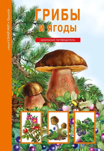 Грибы и ягоды | Афонькин Сергей Юрьевич | Электронная книга
