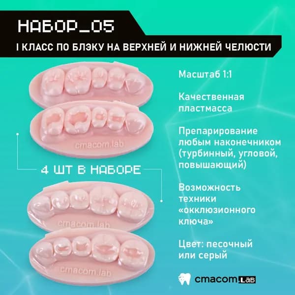 Набор#5 Модели для реставрации зубов/4 штуки/8 зубов/тренировочные модели