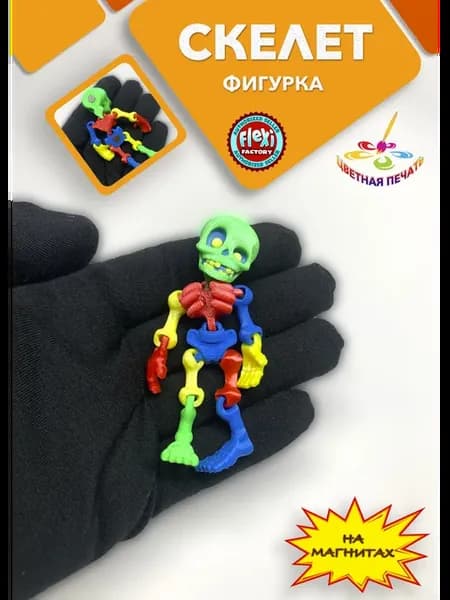 Скелет - фигурка на магнитах цветная