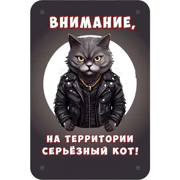 Декоративная табличка "Внимание, на территории серьёзная собака!" (Осторожно, злая собака) / размер 30х20см, Кот британский