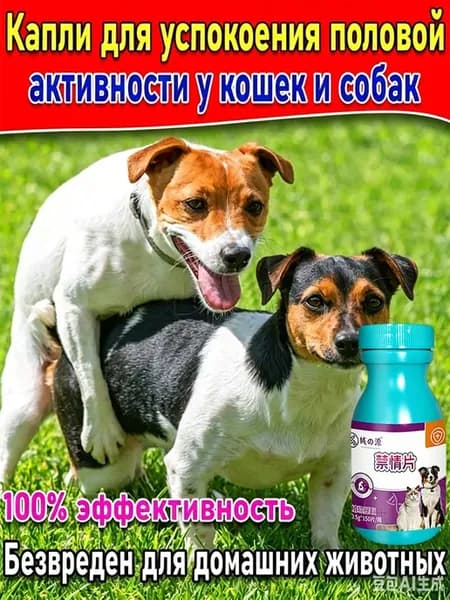 Одна таблетка от половой охоты для собак, эффективнее стерил