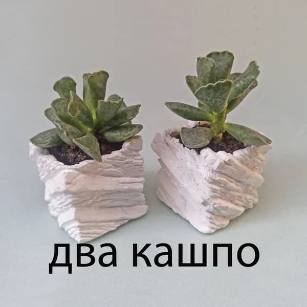 Мини кашпо для суккулентов, маленьких кактусов, рассады и цветов "Два белых квадратных камня", авторская работа, арт бетон