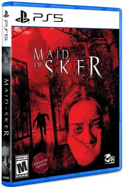 Игра Maid of Sker для PS5 (русские субтитры)