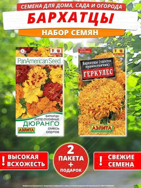 Семена бархатцы для дома сада посадки