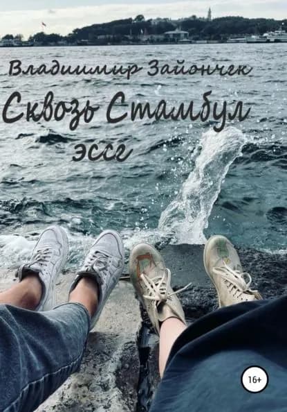Сквозь Стамбул | Зайончек Владимир Андреевич | Электронная книга