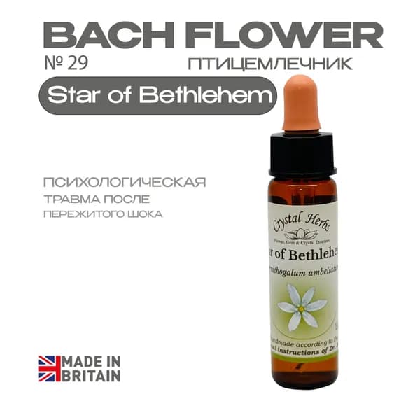 Star of Веthlehem (Птицемлечник) Стар оф Вифлеем, эссенция КЛАССИЧЕСКАЯ, Бах №29 - капли 10 мл. Англия