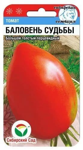 Томат Баловень судьбы от агрофирмы Сибирский сад