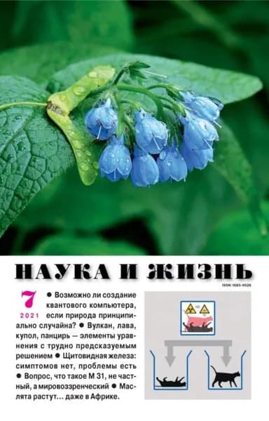 Наука и жизнь No07/2021 | Электронная книга