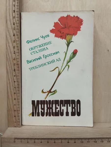 Мужество | Чуев Феликс Иванович