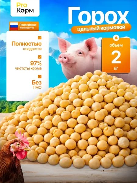 Горох кормовой цельный 2 кг, кормовая добавка для животных, птиц и рыбалки