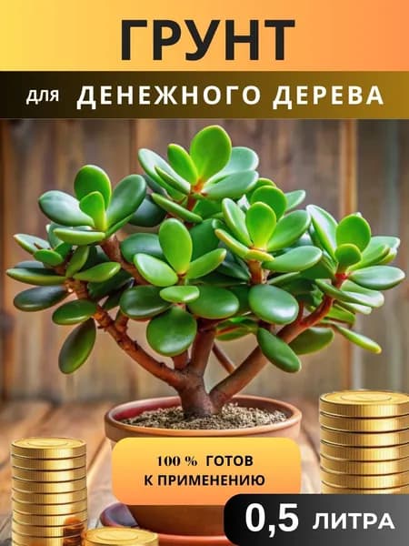 magic ok Грунт 0.5 л 1 шт для комнатных растений от болезней