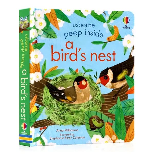 a bird's nest (PEEP INSIDE)