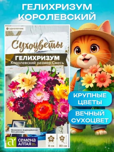 Семена цветов для сада и балкона Гелихризум "Королевский размер" 0,1 гр. Сухоцветы