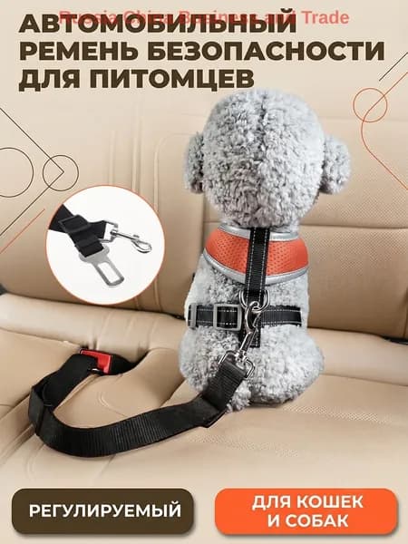 Ремень безопасности для собак в машину