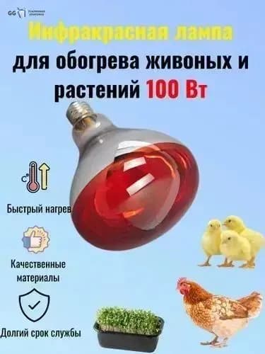 Лампа инфракрасная для обогрева цыплят, кур, свиней, растений и теплиц 100 Вт