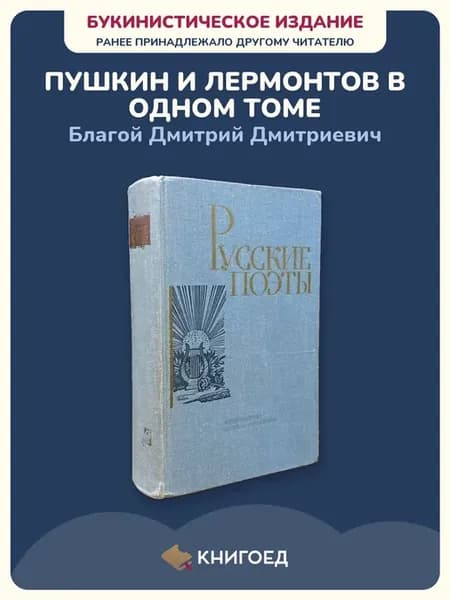 Русские поэты антология том 2 стихи Пушкин Лермонтов поэзия