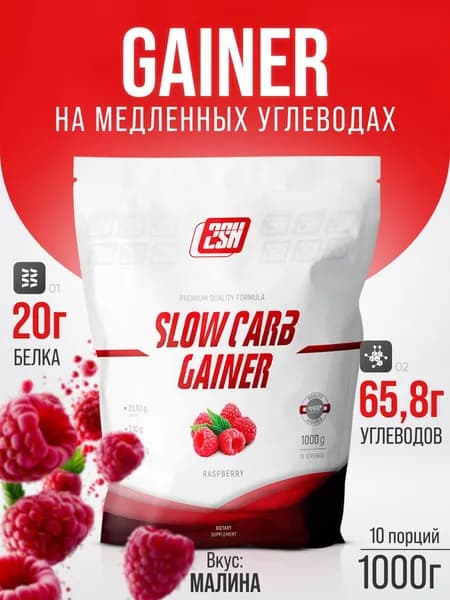 Гейнер на основе медленных углеводов 2SN Slow Carb Gainer 1000 г (Малина)