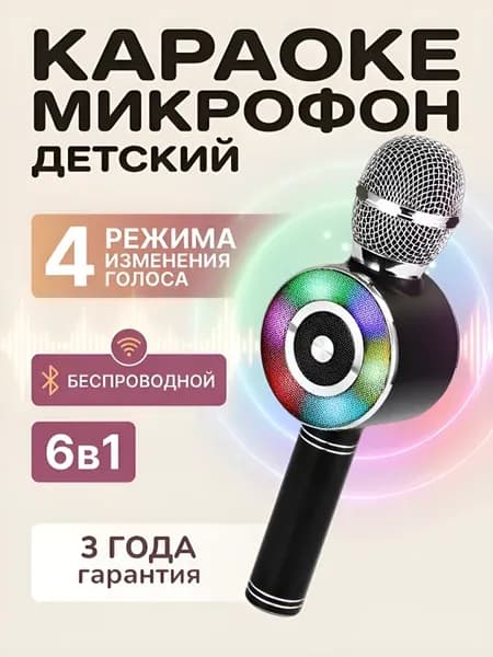Беспроводной микрофон караоке детский WSTER
