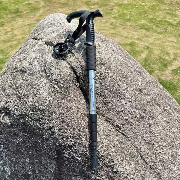 Лыжные палки, 110 см