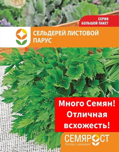 Семена Сельдерей листовой Парус 1г