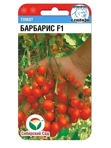 Томат черри Барбарис F1 15шт (Сиб сад)