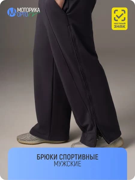 Брюки спортивные мужские, серый 44/46 S