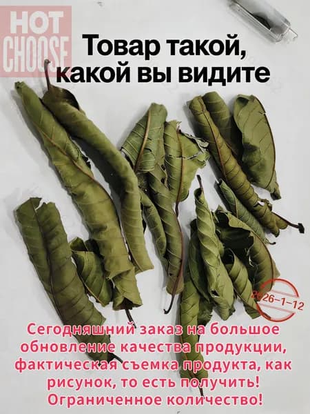 Саусеп (гуанабана, гравиола), сушеные листья мощное природное снадобье (50 грамм)7