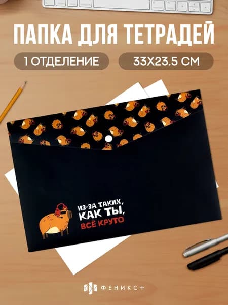 Папка для школьных тетрадей пластиковая А4 Феникс+, 1 отделение на кнопке