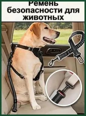 Усиленный, универсальный автомобильный ремень безопасности для животных, для малых пород с амортизацией. Длина47-70см