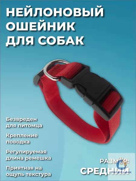 Ошейник для собак мелких и средних пород, щенков, красный, с креплением для поводка