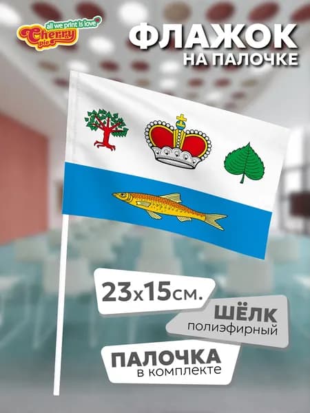 Флаг 23x15 на палочке Вашкинский район (Вологодская область)