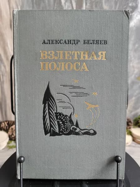 Взлетная полоса | Беляев Александр Романович