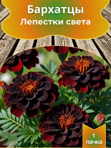 Бархатцы Лепестки света, семена, 10 шт.