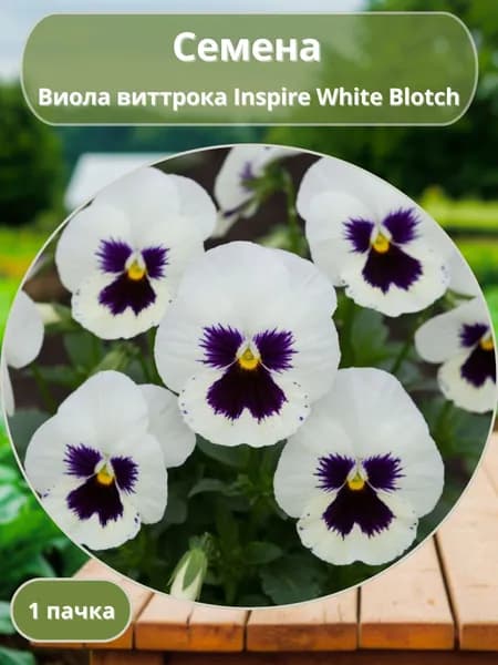 Виола виттрока Inspire White Blotch, семена 10 шт