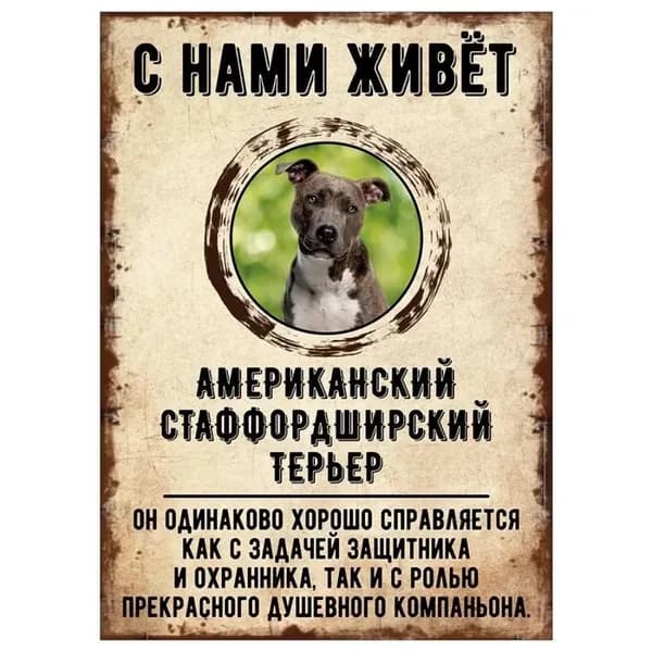 Табличка, декоративная, DANGER DOG, С нами живет Американский стаффордширский терьер, 20x30cm