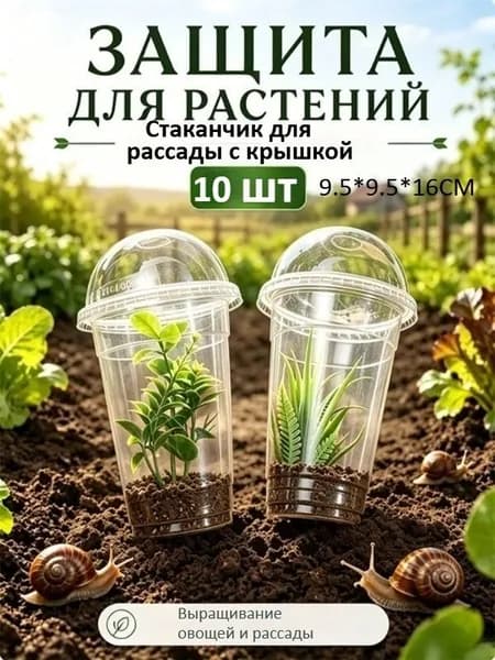 Кассета для рассады