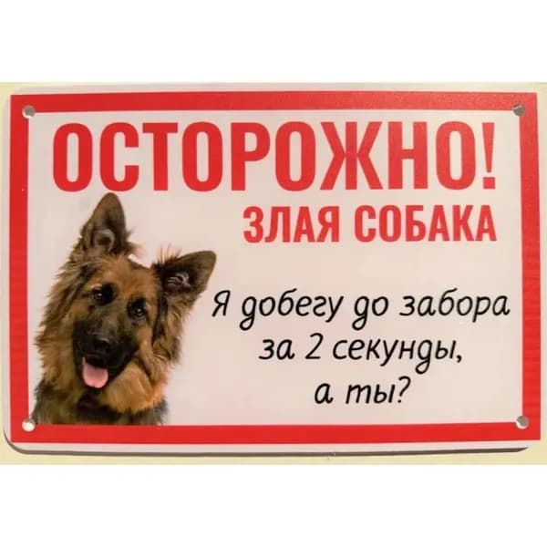 Табличка "Осторожно быстрая собака"(30x20cm)