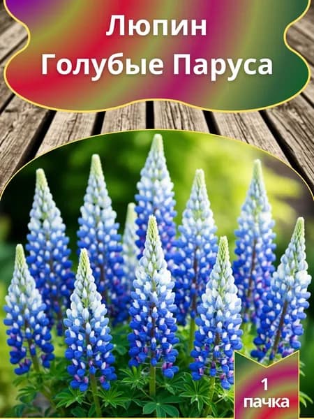 Люпин Голубые Паруса , семена 10 шт.
