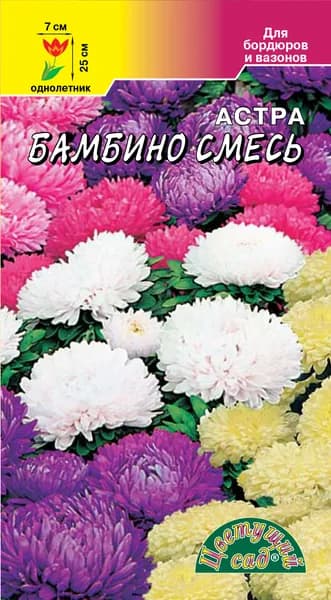 Астра бамбина смесь