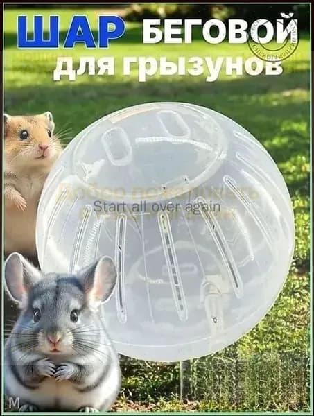 Прогулочный шар для хомяков и грызунов 10 см, разборный, прозрачный