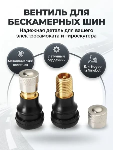 Ремкомплект для колес, электросамоката, велосипеда сосок для гироскутера, ниппель для Kugoo C1 Pro, Ninebot. Комплект 2 шт.