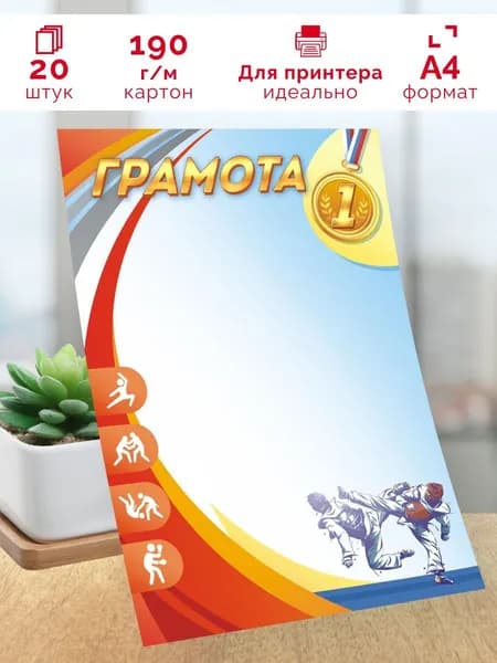 Спортивная грамота единоборства 1 место А4 20 штук