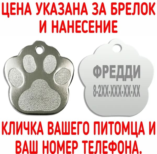 Адресник для собак и кошек . Лапка
