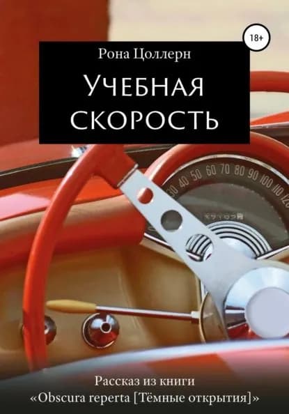 Учебная скорость | Цоллерн Рона | Электронная книга