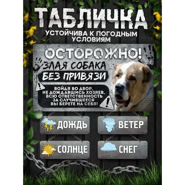 Табличка, на забор, DANGER DOG, Осторожно! Во дворе собака без привязи, Алабай, 20x30 см