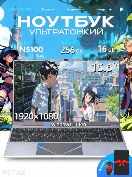 VETAS Игровой ноутбук 15.6", Intel Celeron N5100, RAM 16 ГБ, SSD 256 ГБ, Intel UHD Graphics, Windows Pro, серебристый, Русская раскладка