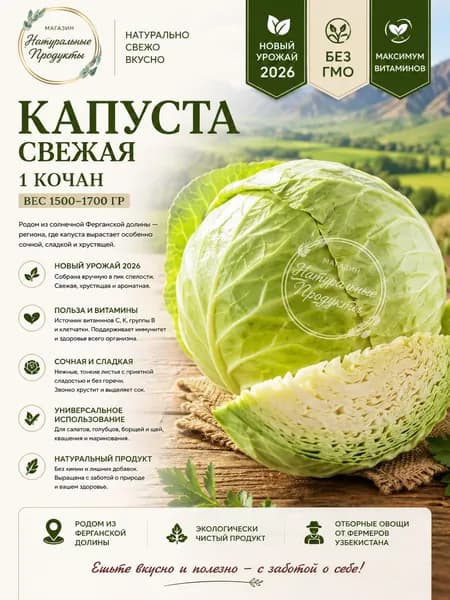 Капуста кочанная Белокочанная 1700 г Узбекистан